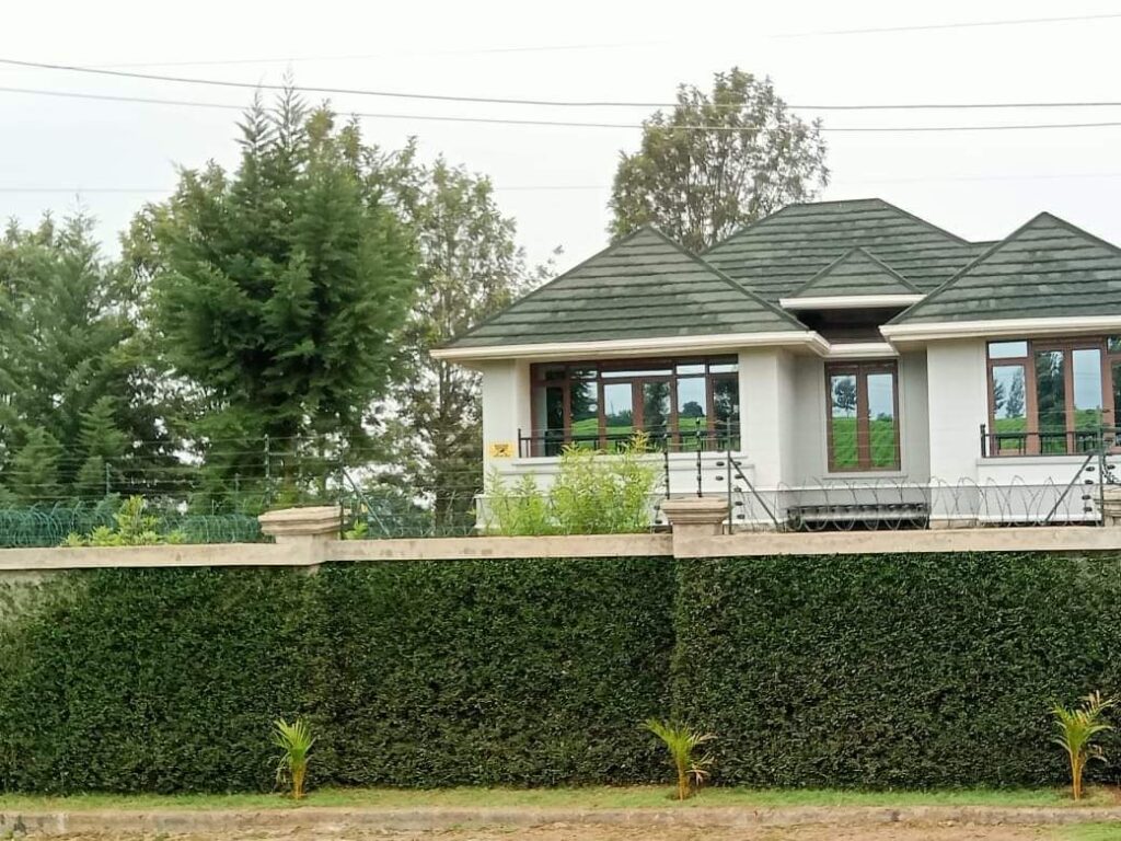 whatsapp image 2025 11 15 at 14.16.13 (1)